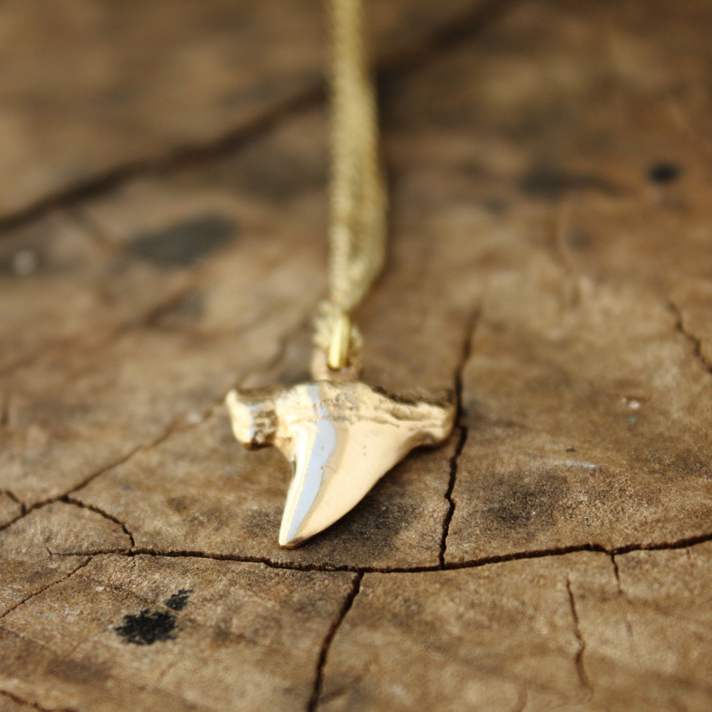Colgante Diente de Tiburón en Bronce | Réplica Fósil Hecha a Mano | Arenas Jewelry - ArenasJewelry
