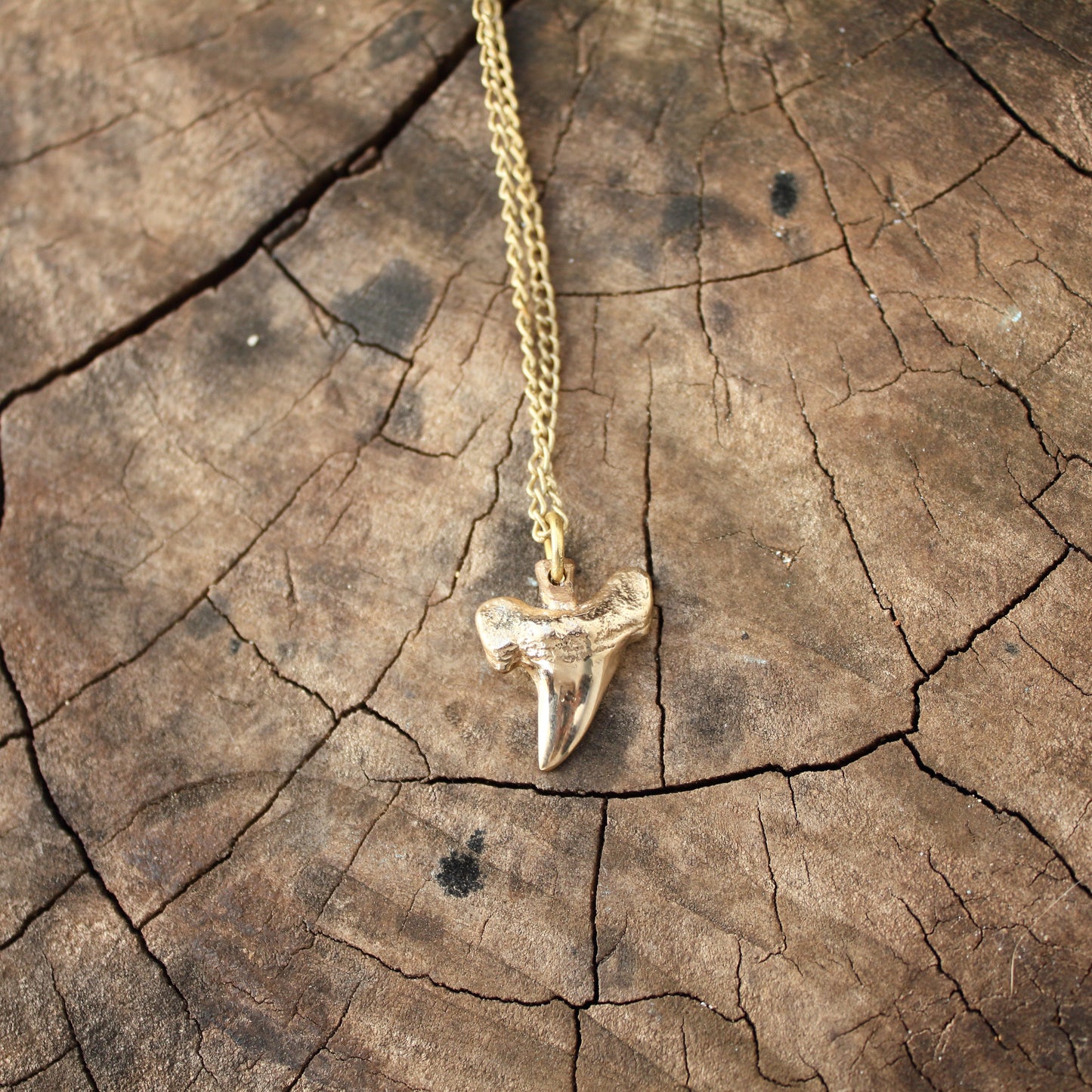Colgante Diente de Tiburón en Bronce | Réplica Fósil Hecha a Mano | Arenas Jewelry - ArenasJewelry