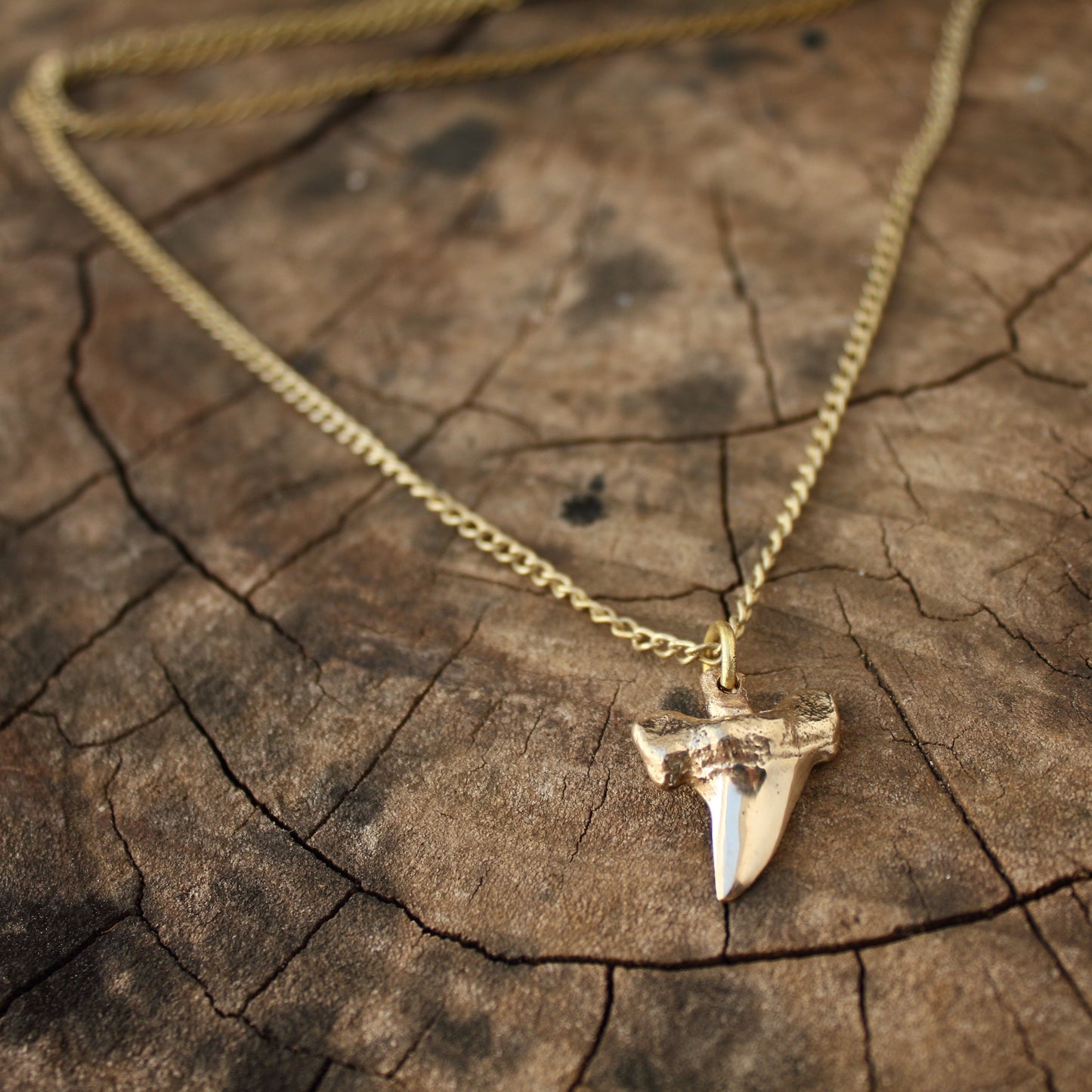Colgante Diente de Tiburón en Bronce | Réplica Fósil Hecha a Mano | Arenas Jewelry - ArenasJewelry
