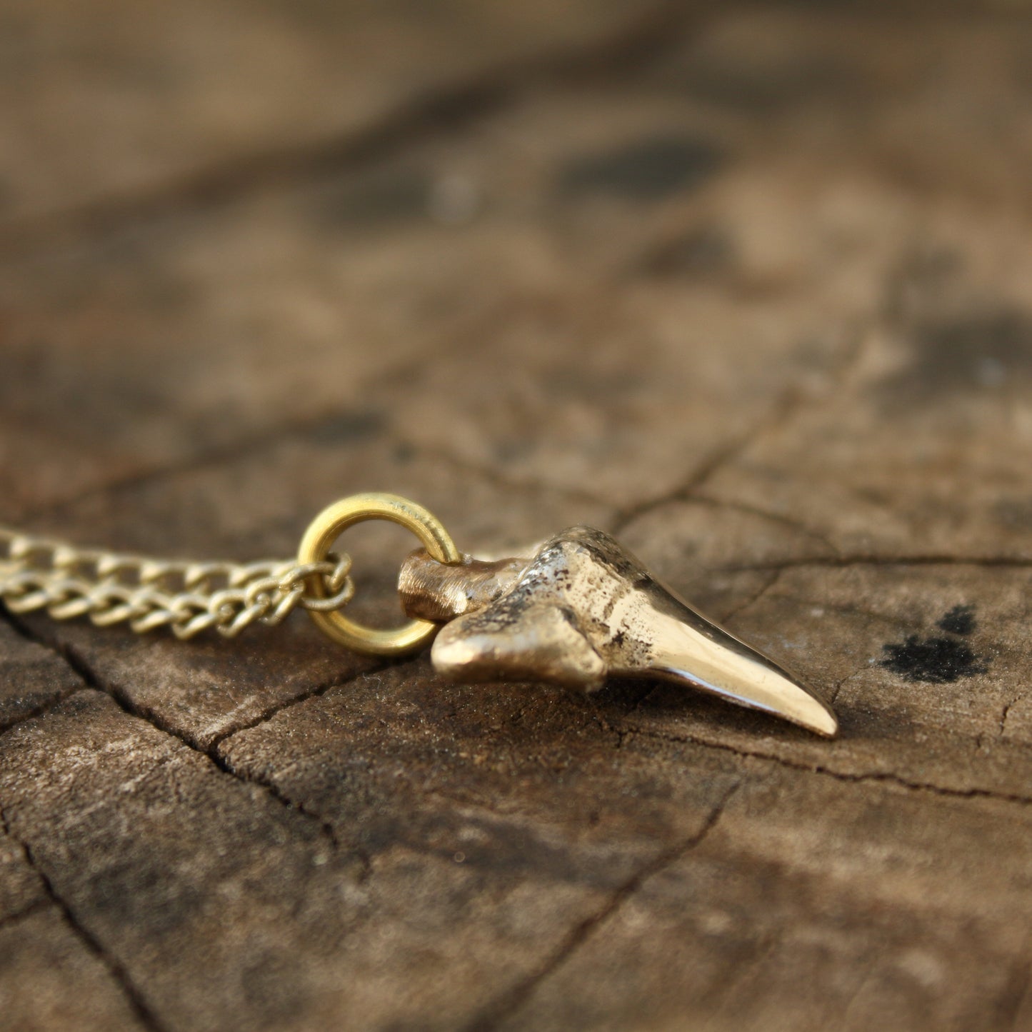 Colgante Diente de Tiburón en Bronce | Réplica Fósil Hecha a Mano | Arenas Jewelry - ArenasJewelry