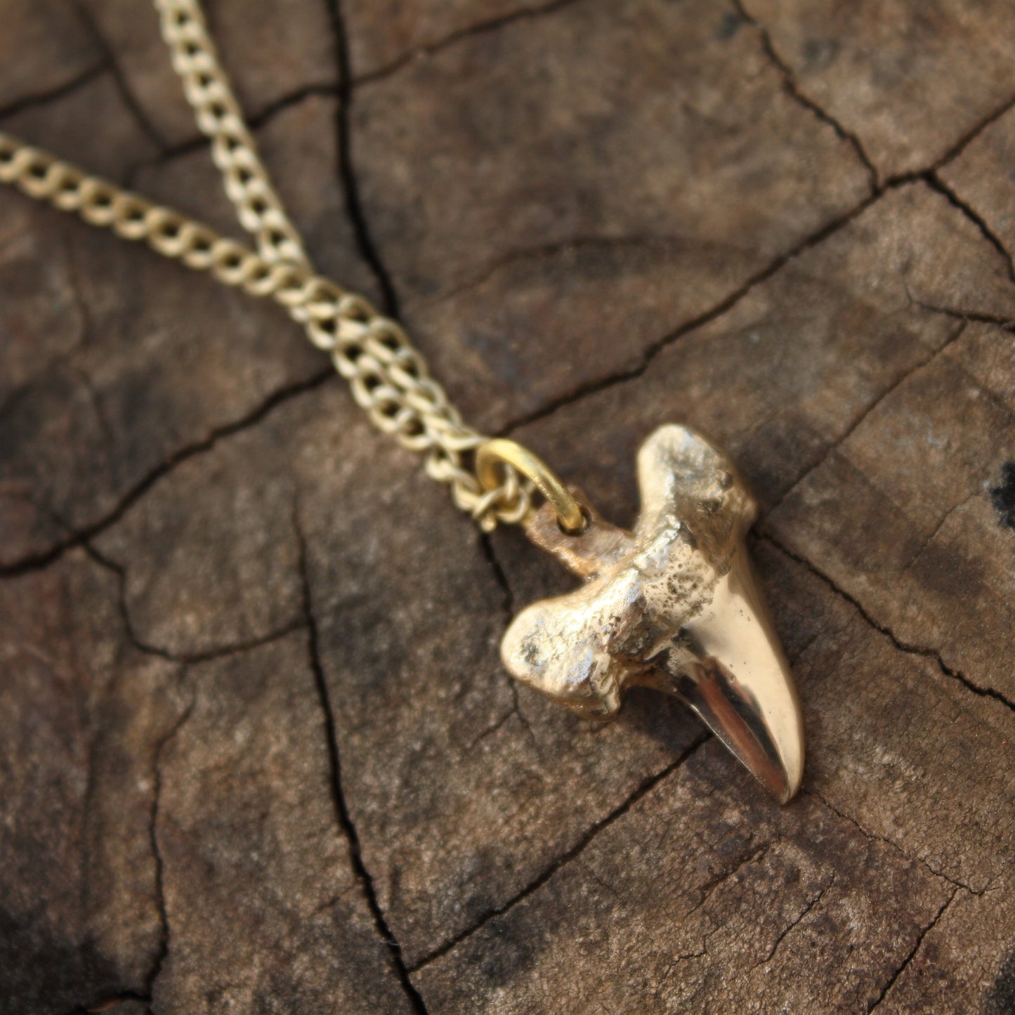 Colgante Diente de Tiburón en Bronce | Réplica Fósil Hecha a Mano | Arenas Jewelry - ArenasJewelry