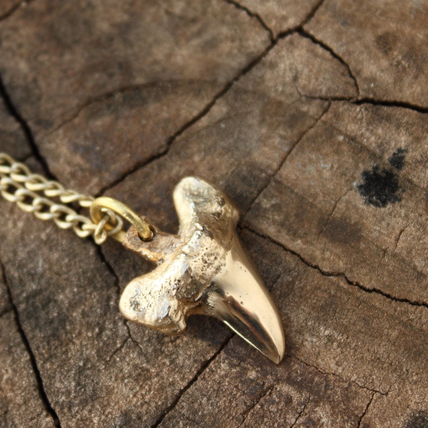 Colgante Diente de Tiburón en Bronce | Réplica Fósil Hecha a Mano | Arenas Jewelry - ArenasJewelry