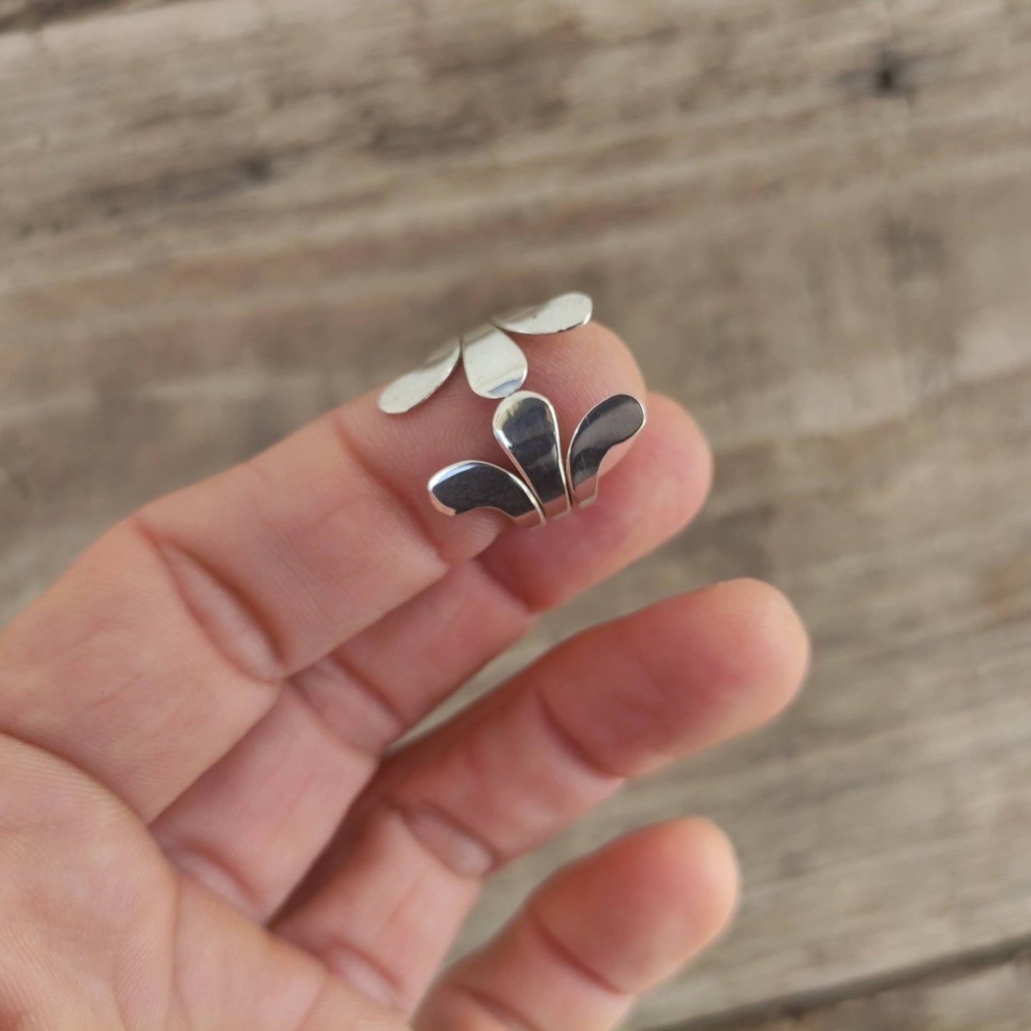 Anillo de Plata modelo Hojas Talla 15 - ArenasJewelry