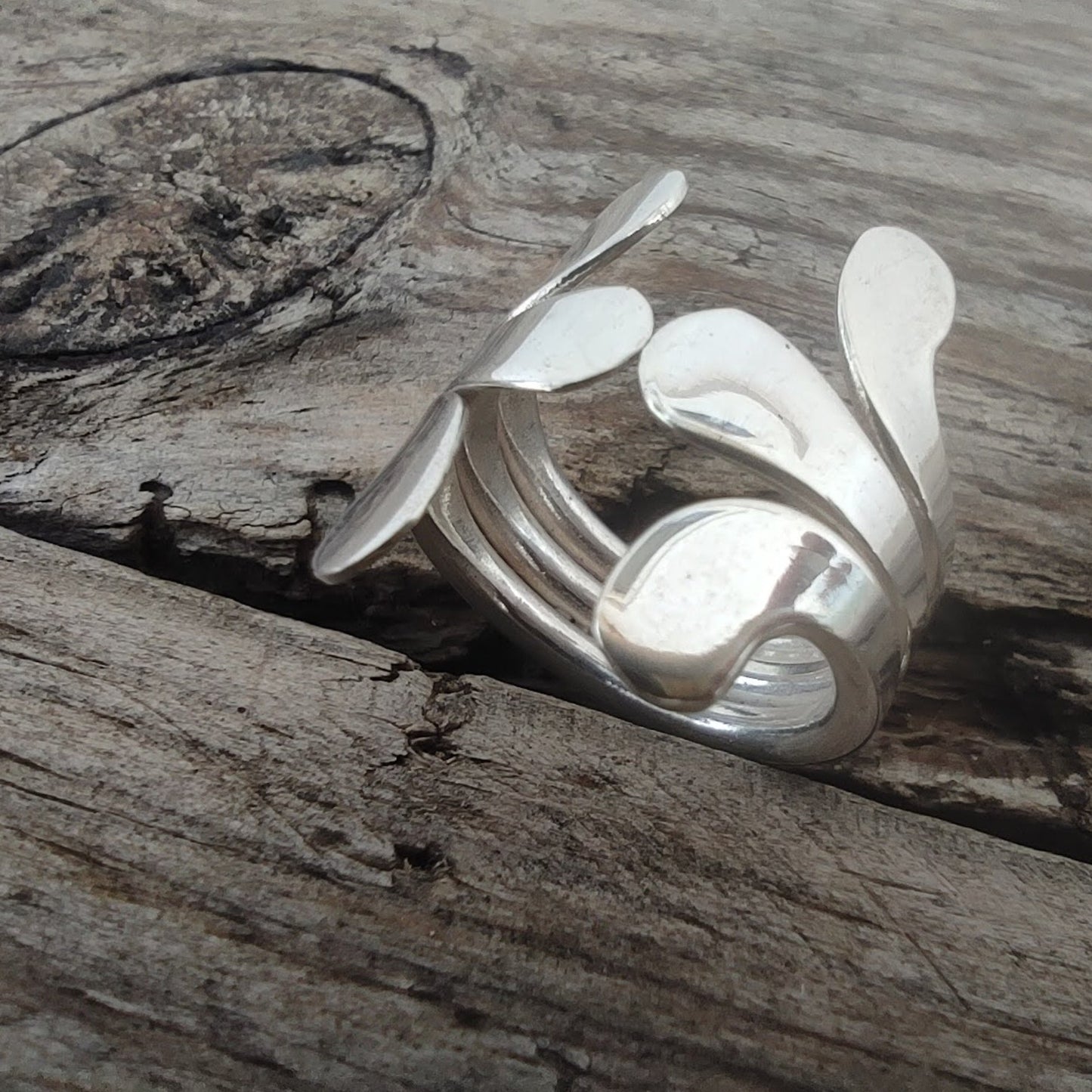 Anillo de Plata modelo Hojas Talla 15 - ArenasJewelry