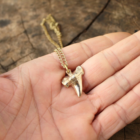 Colgante Diente de Tiburón en Bronce | Réplica Fósil Hecha a Mano | Arenas Jewelry - ArenasJewelry