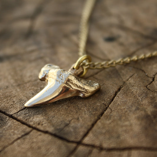 Colgante Diente de Tiburón en Bronce | Réplica Fósil Hecha a Mano | Arenas Jewelry - ArenasJewelry